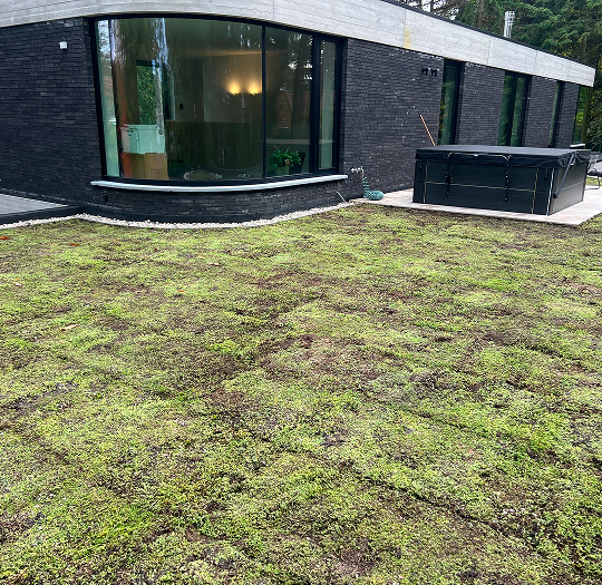Groendak tuinhuis
