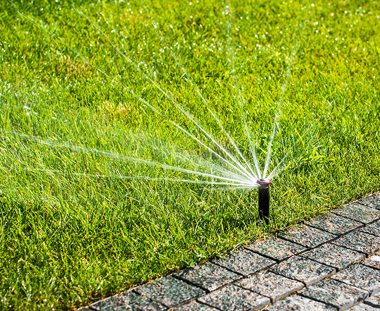 Algemene tuinwerken